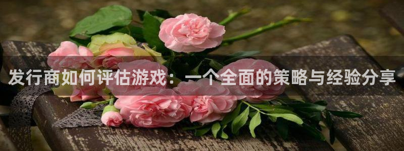 db电竞官网登录注册账号失败怎么办：发行商如何评估游戏：一个全面的策略与经验分享