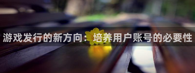 db电竞官网注册平台官网下载：游戏发行的新方向：培养用户账号的必要性