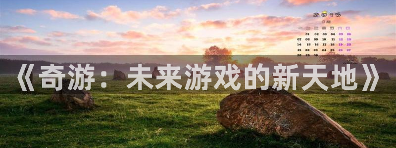 db电竞子集团：《奇游：未来游戏的新天地》