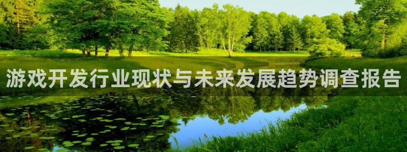 db电竞子音乐：游戏开发行业现状与未来发展趋势调查报告