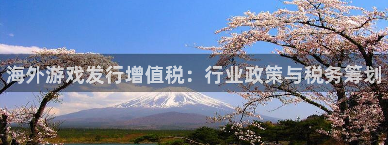 db电竞子写作课：海外游戏发行增值税：行业政策与税务筹划