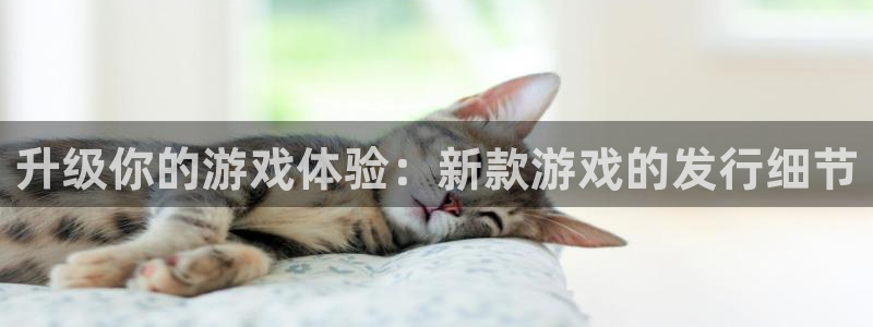 db电竞子公司怎么样：升级你的游戏体验：新款游戏的发行细节
