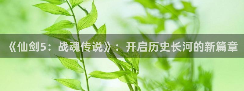 db电竞电子商务有限公司怎么样：《仙剑5：战魂传说》：开启历史长河的新篇章