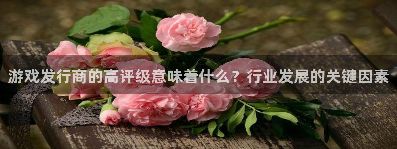 db电竞官网登录注册账号失败：游戏发行商的高评级意味着什么？行业发展的关键因素