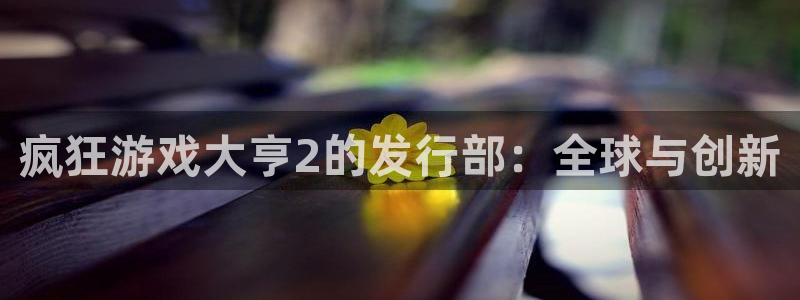 陕西db电竞子文化创意是干什么的：疯狂游戏大亨2的发行部：全球与创新