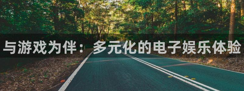 db电竞科技有限公司：与游戏为伴：多元化的电子娱乐体验