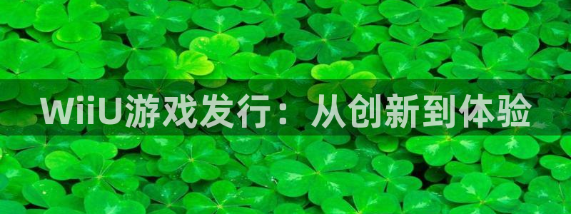 db电竞官网注册方法是什么样的：WiiU游戏发行：从创新到体验