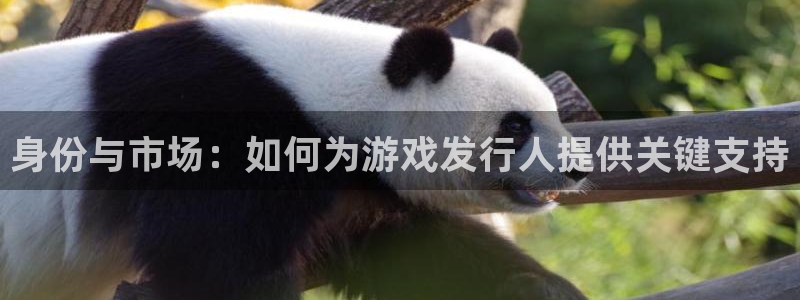 陕西db电竞子文化创意是什么