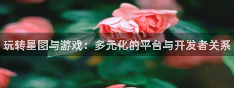 db电竞官网注册方法是什么意思：玩转星图与游戏：多元化的平台与开发者关系
