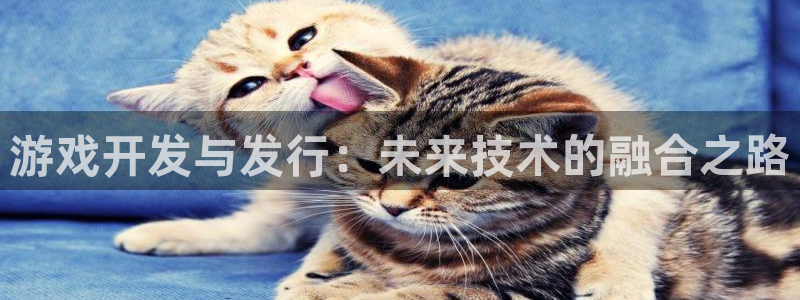 db电竞官网的奇趣腾讯是真的吗知乎