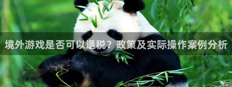 db电竞科技有限公司：境外游戏是否可以退税？政策及实际操作案例分析