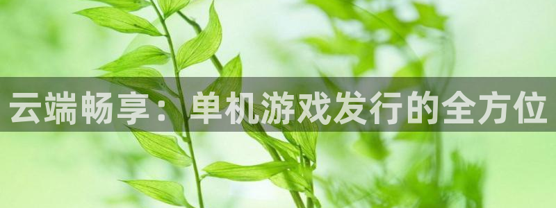db电竞官网注册方法视频教程：云端畅享：单机游戏发行的全方位