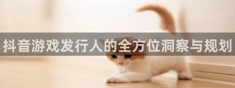 db电竞官网注册地址在哪里：抖音游戏发行人的全方位洞察与规划