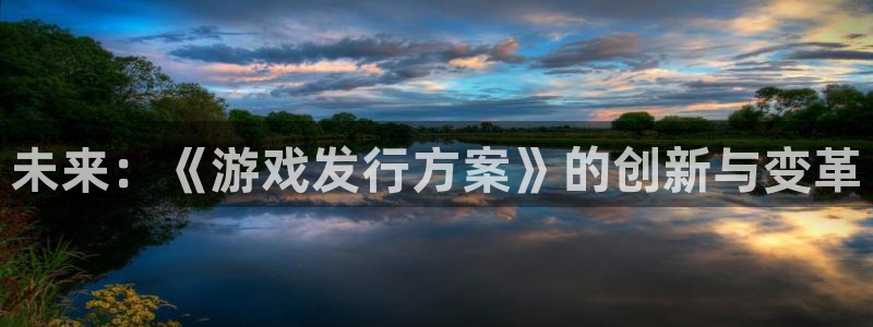 db电竞官网开户待遇：未来：《游戏发行方案》的创新与变革