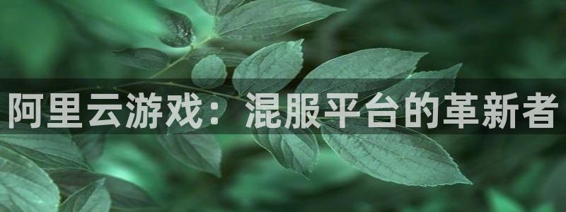 db电竞官网注册地址：阿里云游戏：混服平台的革新者