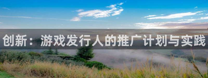 db电竞官网登录注册失败怎么回事：创新：游戏发行人的推广计划与实践