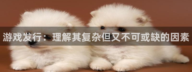 db电竞官网是境外的吗：游戏发行：理解其复杂但又不可或缺的因素