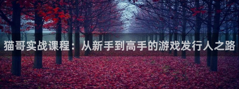 广州db电竞投资