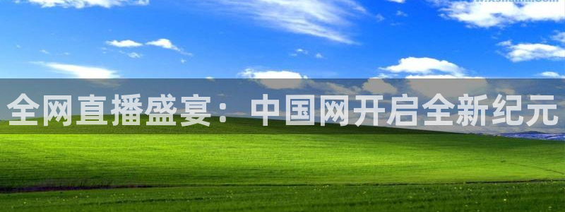 搜球吧在线直播nba：全网直播盛宴：中国网开启全新纪元