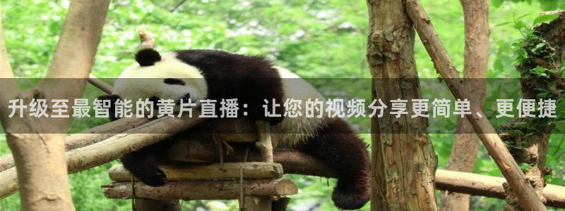 搜球吧nba在线直播：升级至最智能的黄片直播：让您的视频分享更简单、更便捷