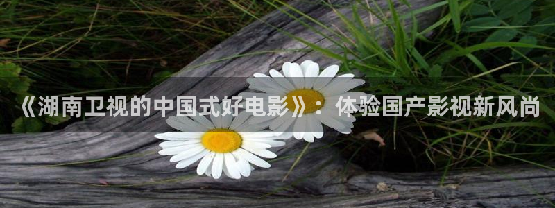 搜球吧在线直播nba：《湖南卫视的中国式好电影》：体验国产影视新风尚