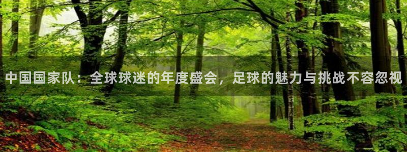 搜球吧在线直播nba：中国国家队：全球球迷的年度盛会，足球的魅力与挑战不容忽视