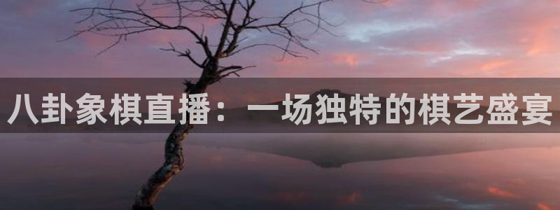 搜球体育直播：八卦象棋直播：一场独特的棋艺盛宴