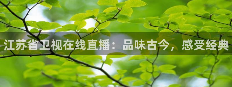 搜球吧直播网：江苏省卫视在线直播：品味古今，感受经典