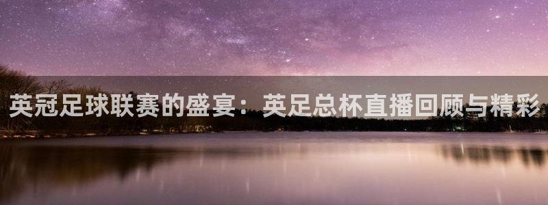 搜球吧nba视频直播：英冠足球联赛的盛宴：英足总杯直播回顾与精彩