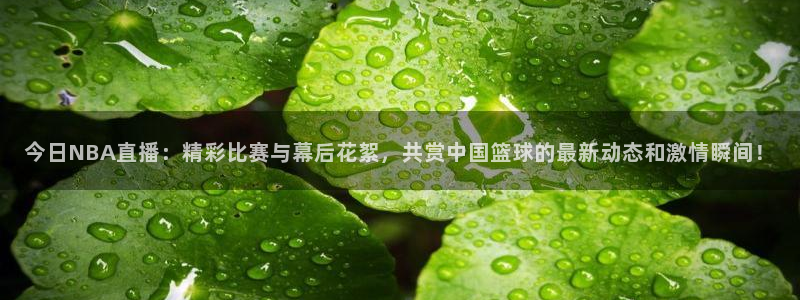 搜球吧 直播：今日NBA直播：精彩比赛与幕后花絮，共赏中国篮球的最新动态和激情瞬间！