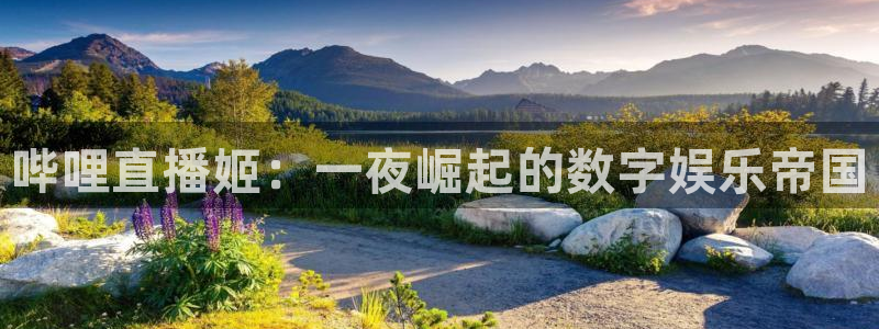 nba直播搜球吧：哔哩直播姬：一夜崛起的数字娱乐帝国