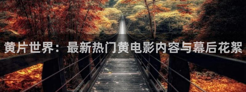 搜球体育官网：黄片世界：最新热门黄电影内容与幕后花絮