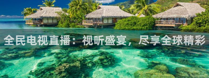 搜球吧零点吧nba直播：全民电视直播：视听盛宴，尽享全球精彩