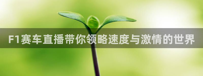 搜球吧手机直播nba直播：F1赛车直播带你领略速度与激情的世界